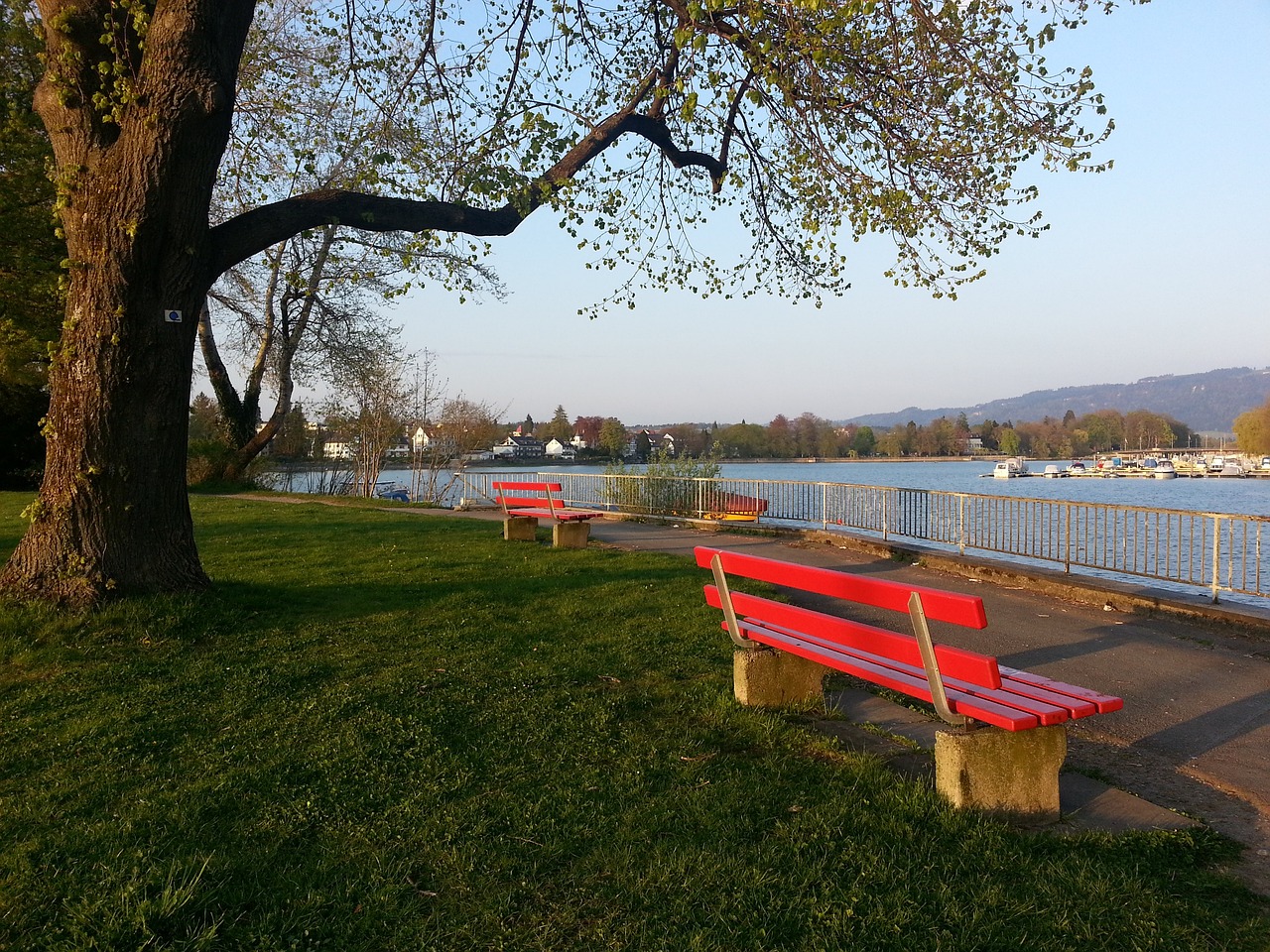 中场的不小 中场的不小