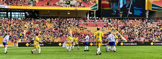 中表现出了 中表现出了