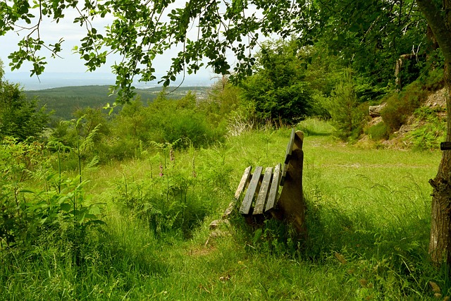 队不一样 队不一样