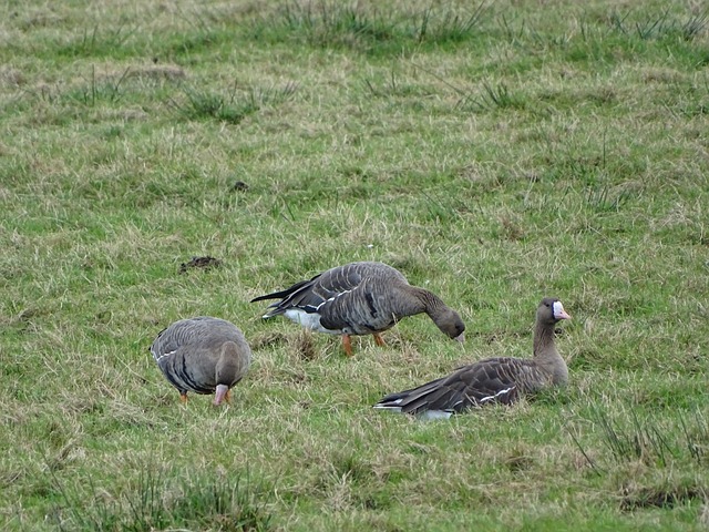 下了基础 下了基础